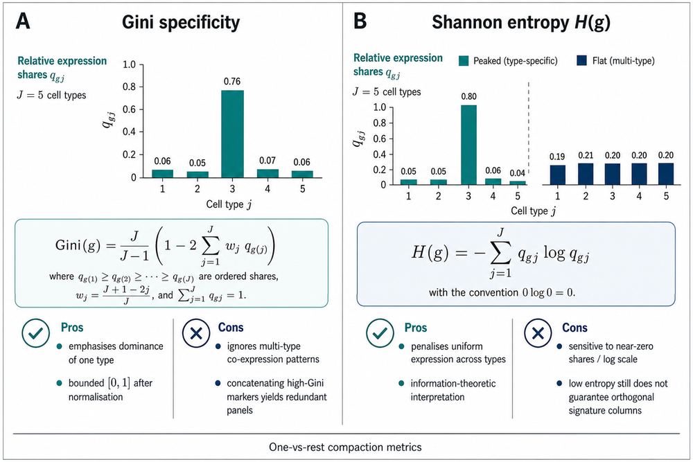 Gini versus Shannon entropy